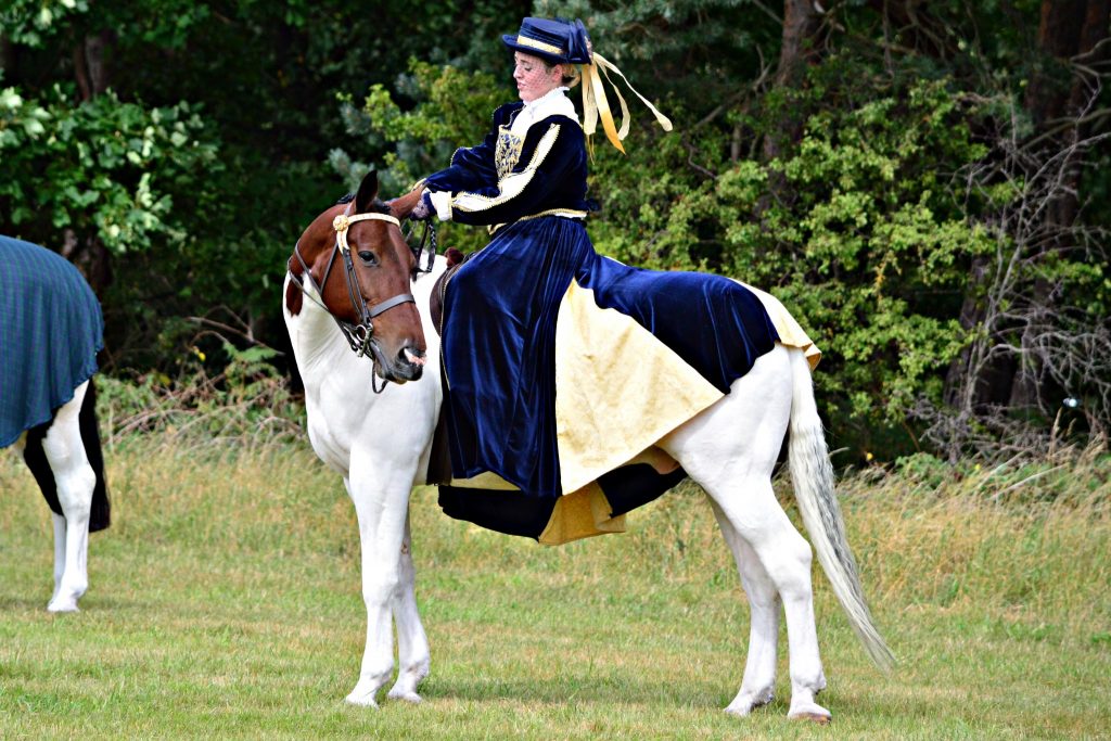 DSC 0395 1024x683 - Lambley Ridng Club  23rd August