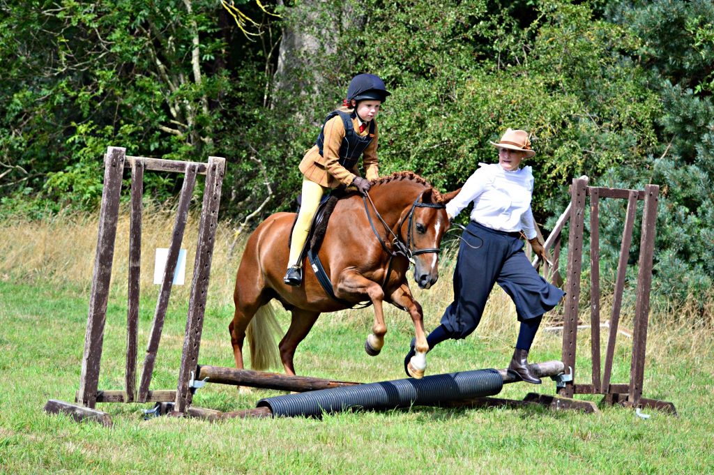 DSC 0475 1024x681 - Lambley Ridng Club  23rd August