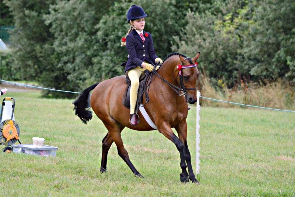 DSC 0943 1024x683 - Lambley Ridng Club  23rd August