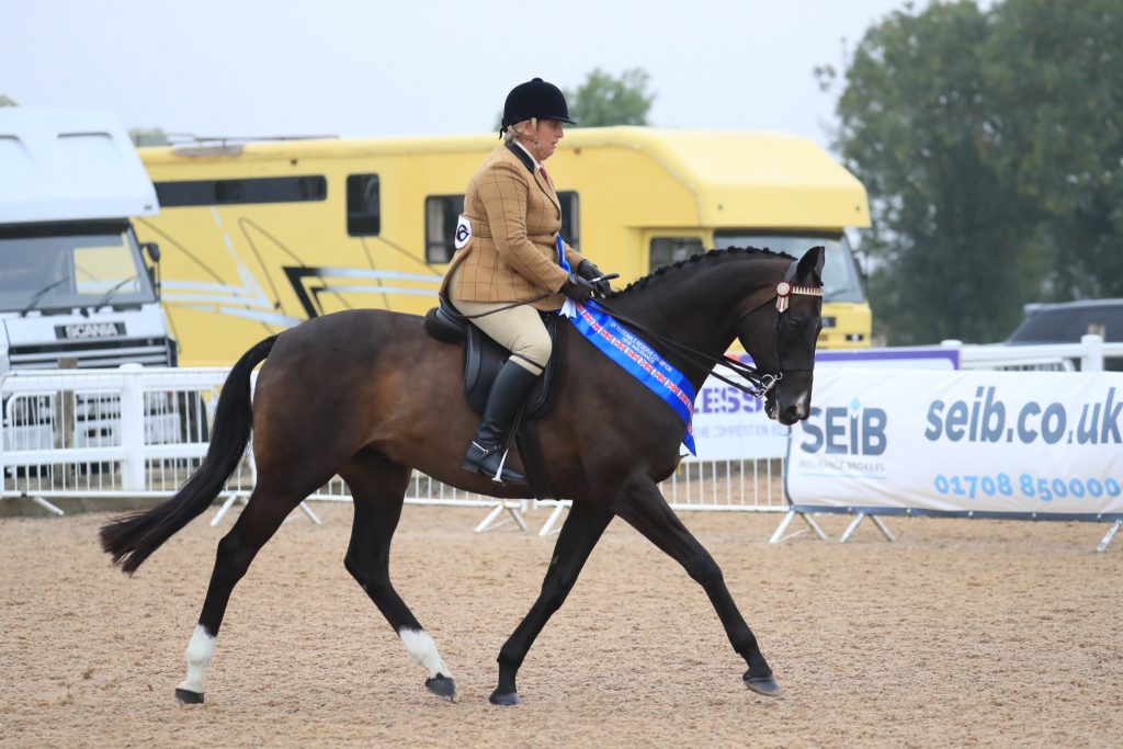 Hannah Chisman and First Fandango C Equinational 1024x683 - Mumford takes the SEIB Racehorse to Riding Horse Championship at UK National Championships