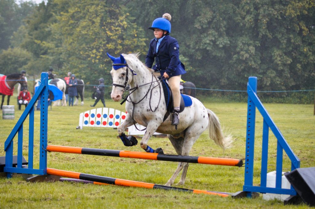 Hallamshire Showjumping 16th August Sam Richardson Target 1024x680 - Hallamshire Showjumping 16th August