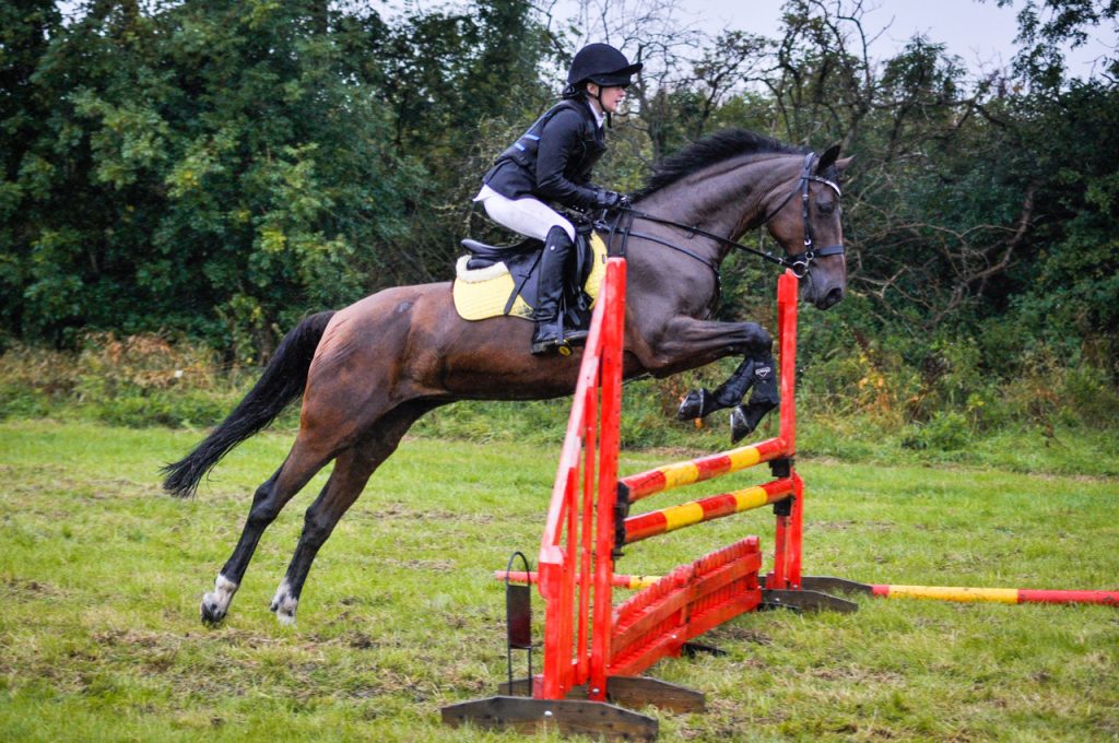 Hallamshire Showjumping 16th August Sienna Turner Galaxy Dream Girl 1024x680 - Hallamshire Showjumping 16th August