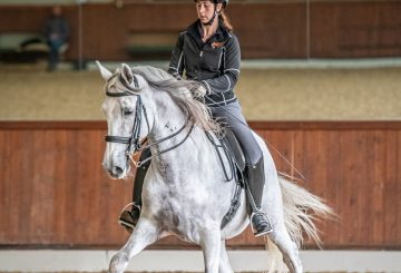 The Dressage Coach Launch Image 360x245 - Zoom into the Dressage Arena with Confidence during Lockdown 2.0