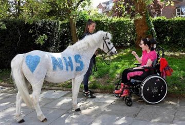 PLEASE CREDIT Park Lane Stables 360x245 - Spillers donates £2000 to Park Lane Stables 