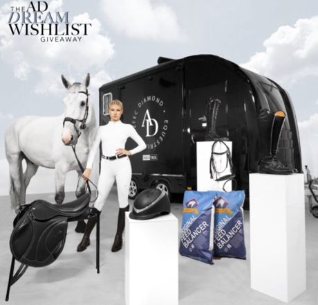 DW 11 copy 460x440 - Aztec Diamond Equestrian are proud to announce “The Dream Wishlist Giveaway”