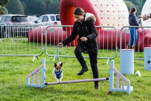 Dog Agility Osb 300x200 - Osberton International