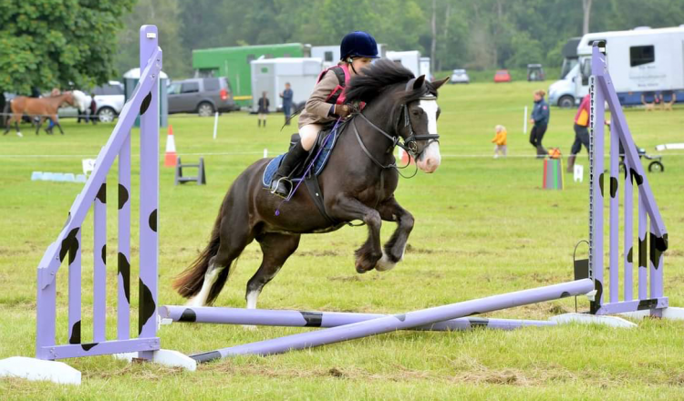 image 750x440 - Blue Cross and Pony Club team up for auction fundraiser