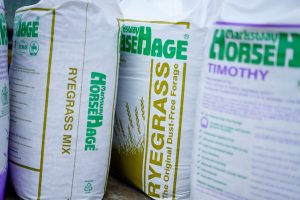 123  DSC9021 300x200 - Winter Forage & Feeding