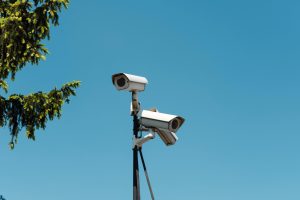 How to prevent equine theft this Autumn Autumn horse riding 2 300x200 - How to prevent equine theft this Autumn