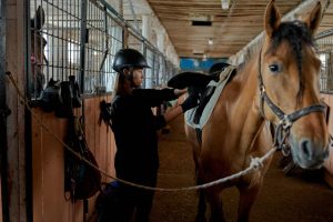 How to prevent equine theft this Autumn Autumn horse riding 3 300x200 - How to prevent equine theft this Autumn