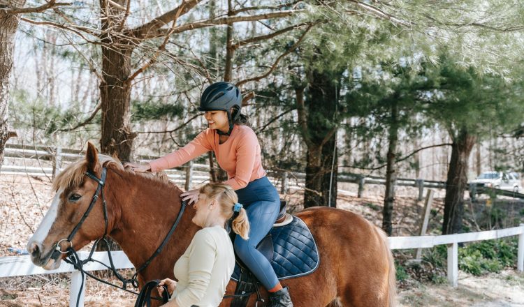 Autumn horse riding 4 750x440 - How to prevent equine theft this Autumn