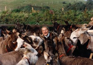 Dr Elisabeth Svendsen MBE surrounded by donkeys The Donkey Sanctuary 300x212 - The Donkey Sanctuary’s founder recognised by veterinary organisation