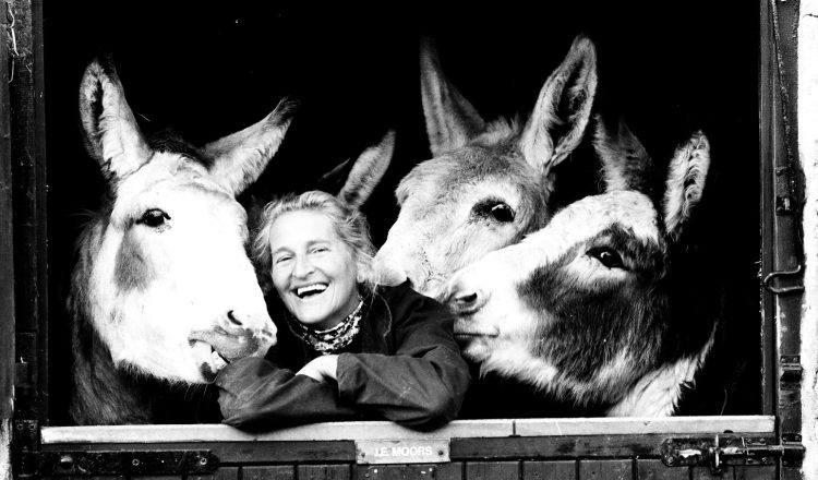 Dr Svendsen with donkeys in 1986 The Donkey Sanctuary 750x440 - The Donkey Sanctuary’s founder recognised by veterinary organisation