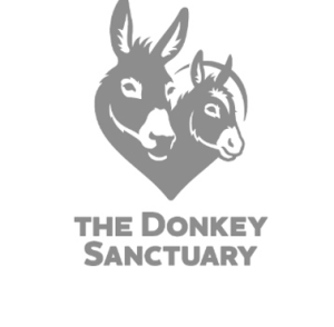 Screenshot 2021 10 29 at 16.31.28 300x294 - The Donkey Sanctuary’s founder recognised by veterinary organisation