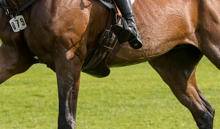 Horse in sport World Horse Welfare 750x440 - An ethical framework for use of horses in sport unveiled at industry workshop