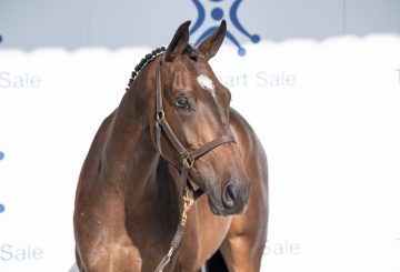 Lot 20 B 360x245 - Monart Produces Another Record-Breaking Sale