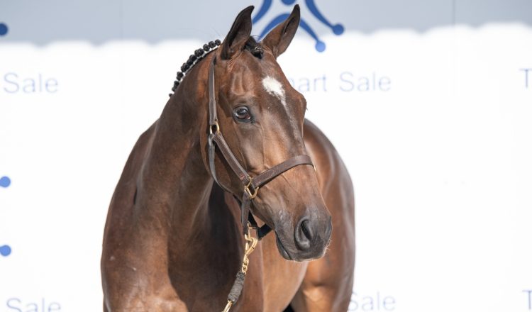 Lot 20 B 750x440 - Monart Produces Another Record-Breaking Sale