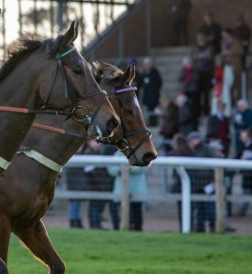 Racing 3 276x300 - An ethical framework for use of horses in sport unveiled at industry workshop