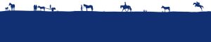 image 5 300x61 - World Horse Welfare’s ‘the Big Give Christmas Challenge 2021