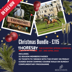 Christmas Bundle 300x300 - Are you ready for Christmas?