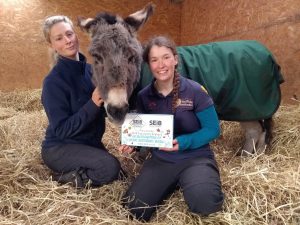Flicka Foundation Donkey Sanctuary receive an SEIB Giving Award in 2020 L to R Henrieke Freeman Emma the Donkey Charlotte Main 300x225 - SEIB Insurance Brokers to grant £50,000 to good causes in 2022