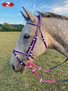 Hanovarian Bridle ans S Grip Reins 1 225x300 - Are you ready for Christmas?
