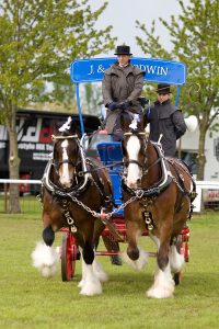 Shire Horse Society Show 12th and 13th March 2022. Photo by Carol Stevens For the Shire Horse Society99 200x300 - Shire Horse Society Show 12th and 13th March 2022.