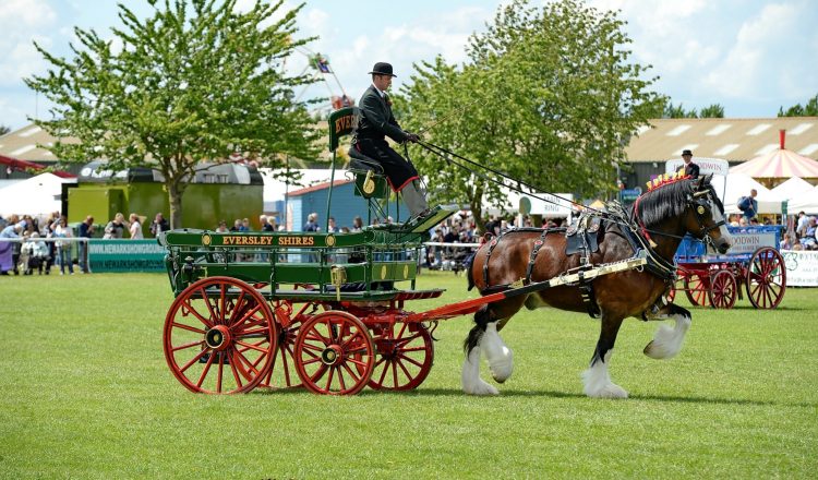 Photo courtesy of Kev Wright Smaller Copy 750x440 - Shire Horse Society Show 12th and 13th March 2022.