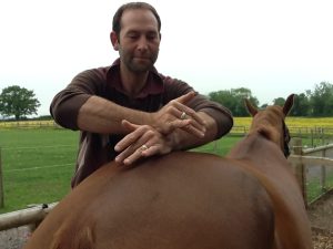SamSmith1 300x225 - Free Webinar from the McTimoney College of Chiropractic
