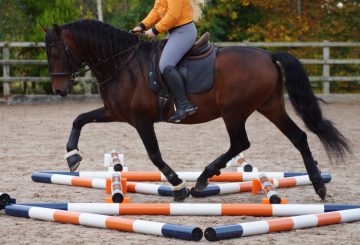 Stackaletti 3 360x245 - Classic Showjumps launch the Stackaletti – the ultimate pole work kit!￼                     ￼