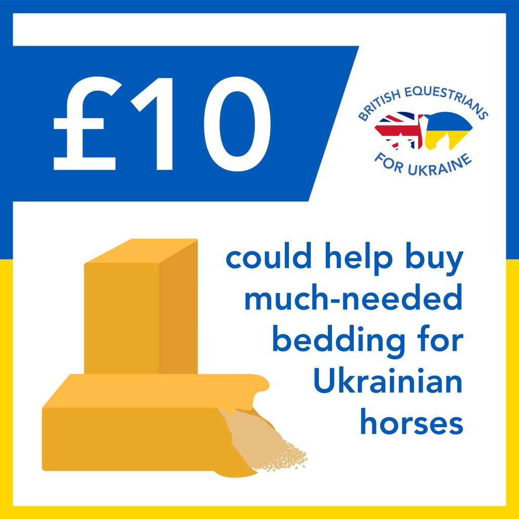 British Equestrian aid for Ukraine BEFU fund 10 SQ 1024x1024 - British Equestrian aid for Ukraine