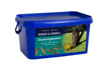 Encouragemints No Shadow 360x245 - Dodson & Horrell New Treats