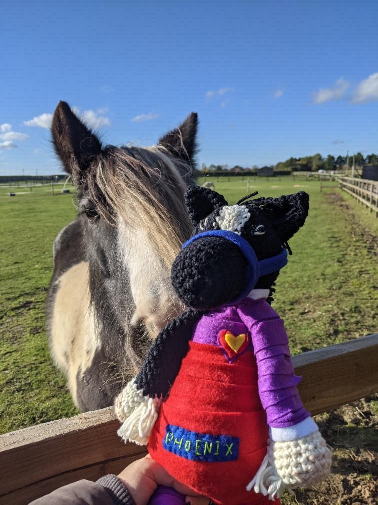 SPECIAL PONY WHO HELPED REDWINGS CARE FOR TRAGIC FOAL NOW LOOKING FOR A LOVING HOME OF HER OWN Mildred PR Mildred with crochet of Phoenix - SPECIAL PONY WHO HELPED REDWINGS CARE FOR TRAGIC FOAL NOW LOOKING FOR A LOVING HOME OF HER OWN