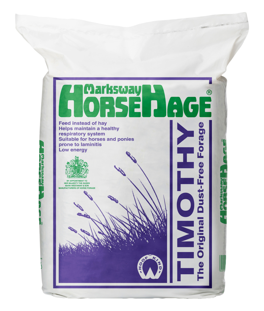 Timothy HorseHage Transparent 871x1024 - Making the Best of Box Rest