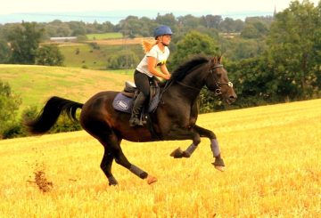 Kathryn Nankervis 360x245 - A Host of Fascinating Webinars on HorseTribe This Month 