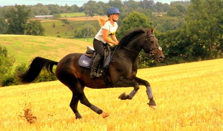 Kathryn Nankervis 750x440 - A Host of Fascinating Webinars on HorseTribe This Month 