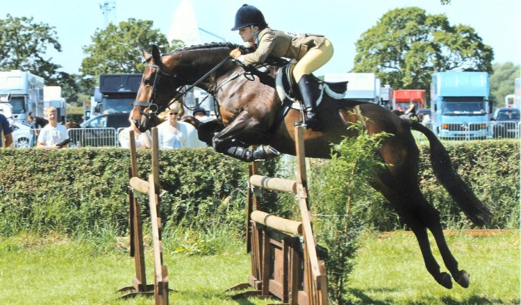 utilRequest 2 750x440 - The Royal Cheshire County Show 2022 – Light Horses Competitor Information