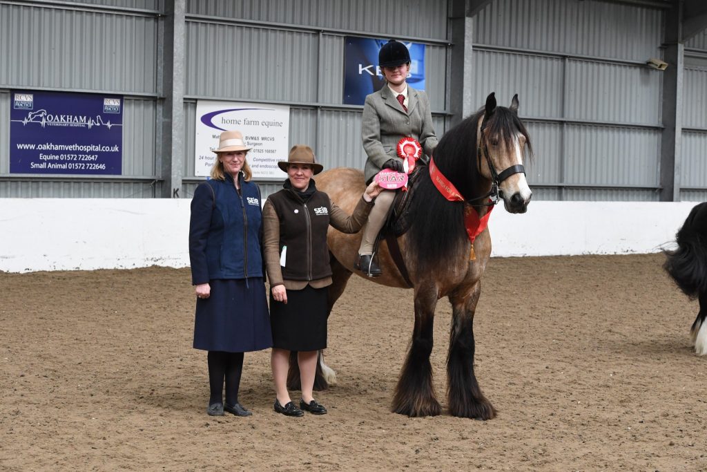VV 1 PB Trad Catherine Chalkley and Bradwell Dun Deal 1024x683 - SEIB Search for a Star & Racehorse to Riding Horse 2022 kicks off at Vale View Equestrian        