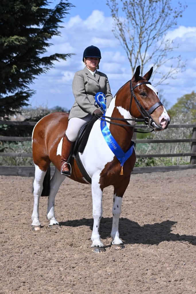 VV Cob 2 B Unique Hannah Johnson O Linda Penfold 683x1024 - SEIB Search for a Star & Racehorse to Riding Horse 2022 kicks off at Vale View Equestrian        