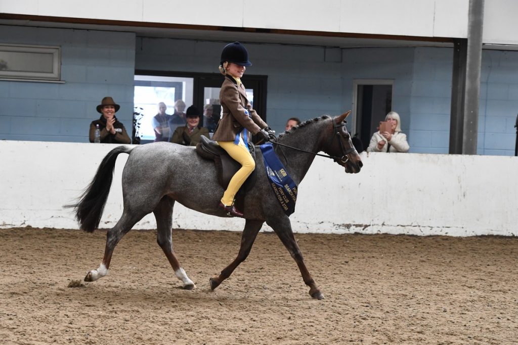 VV First Rid 1 Emily Elliott Larchgrove Isabella 1024x683 - SEIB Search for a Star & Racehorse to Riding Horse 2022 kicks off at Vale View Equestrian        