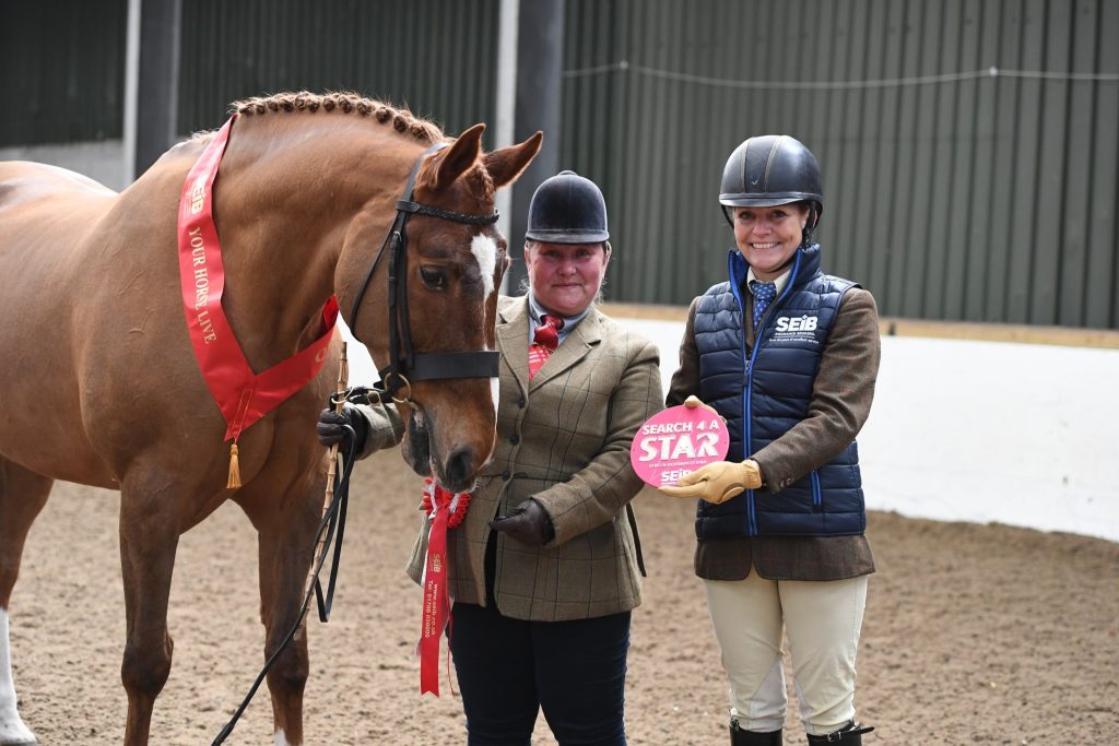 VV I Inhand Vet Donna Hoe Midnights Magic 1024x683 - SEIB Search for a Star & Racehorse to Riding Horse 2022 kicks off at Vale View Equestrian        