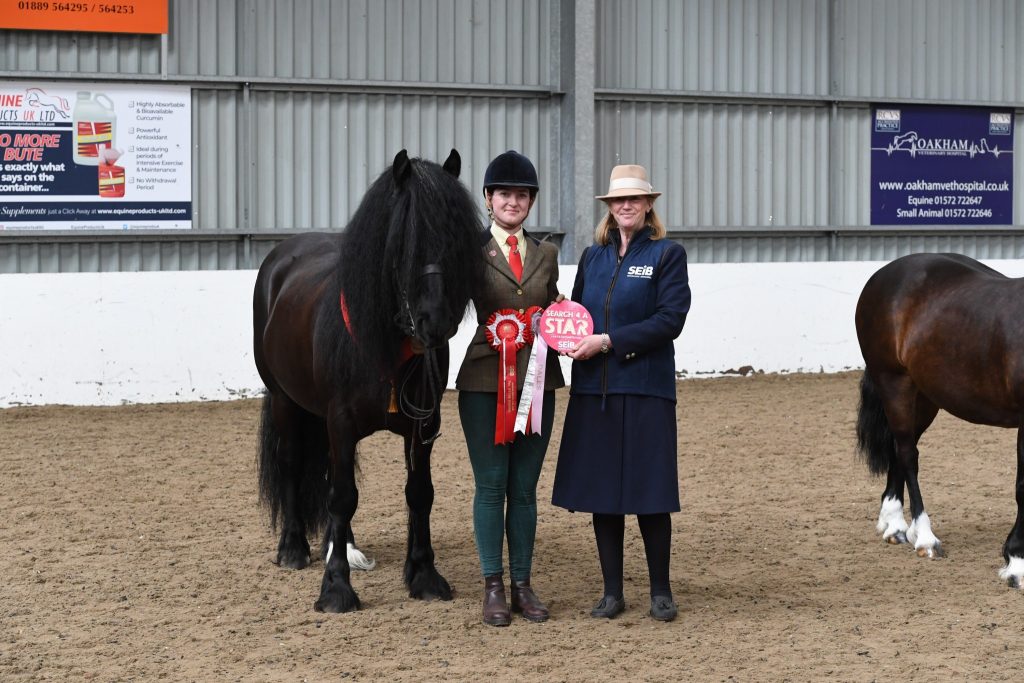 VV In hand amateur M n M 1 Georgie Lewis Roberts Fulford Mickey 1024x683 - SEIB Search for a Star & Racehorse to Riding Horse 2022 kicks off at Vale View Equestrian        