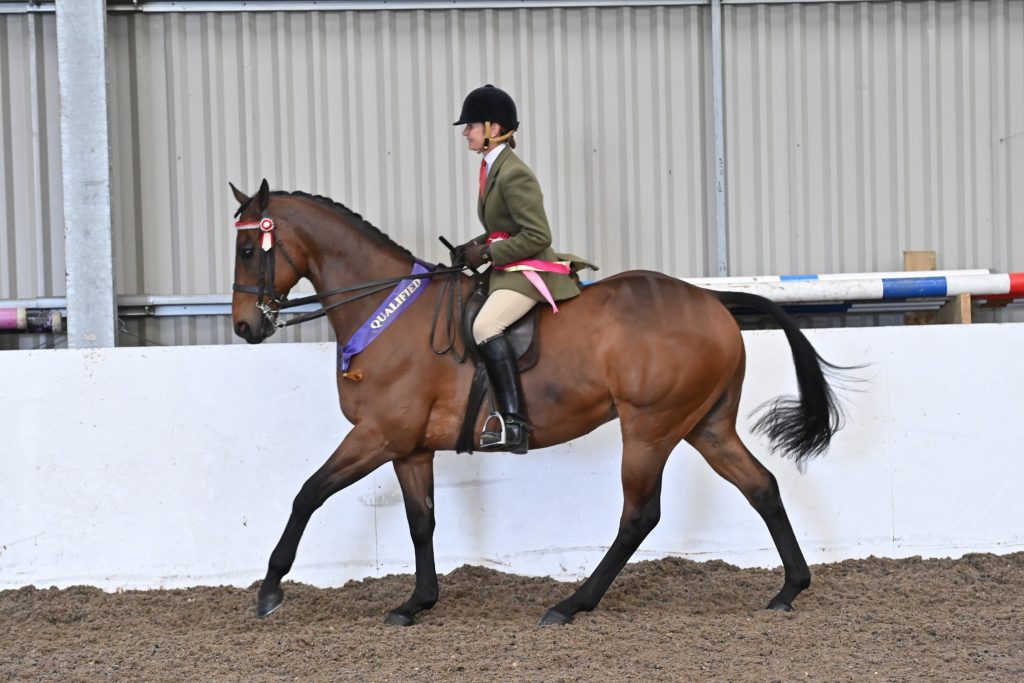 VV R2R 1 Mumford Claire Oliver 1024x683 - SEIB Search for a Star & Racehorse to Riding Horse 2022 kicks off at Vale View Equestrian        