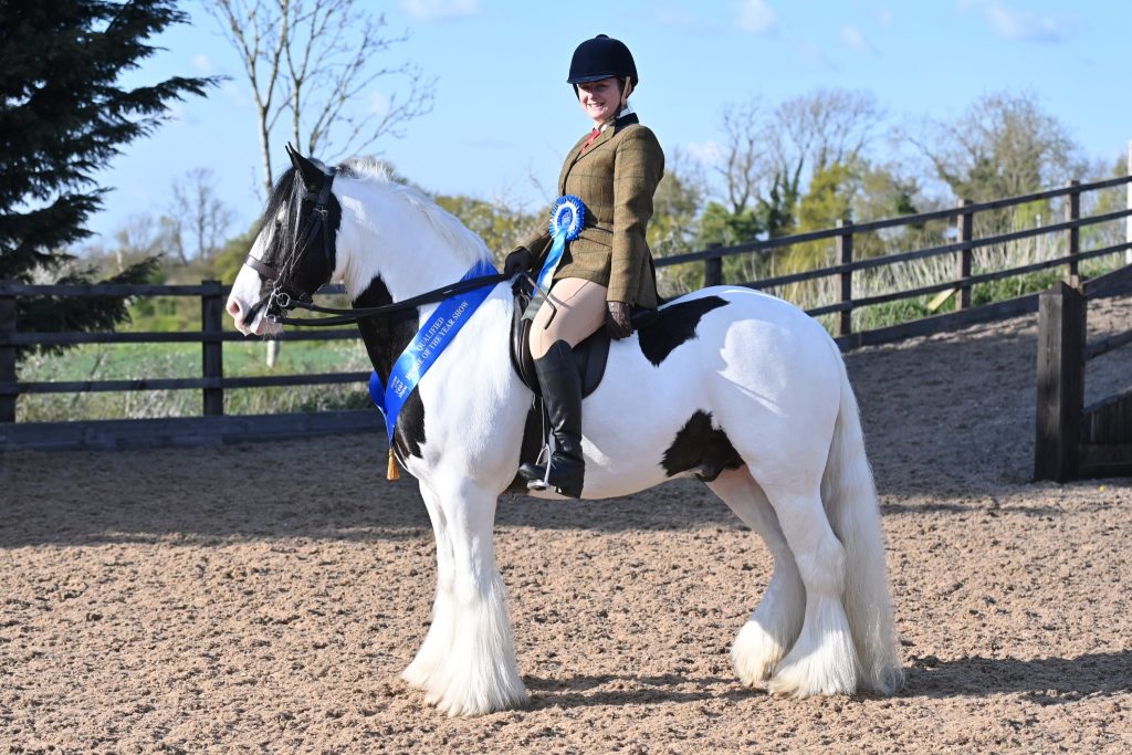 VV Trad 2 Laura Cox Colour of Money 1024x683 - SEIB Search for a Star & Racehorse to Riding Horse 2022 kicks off at Vale View Equestrian        
