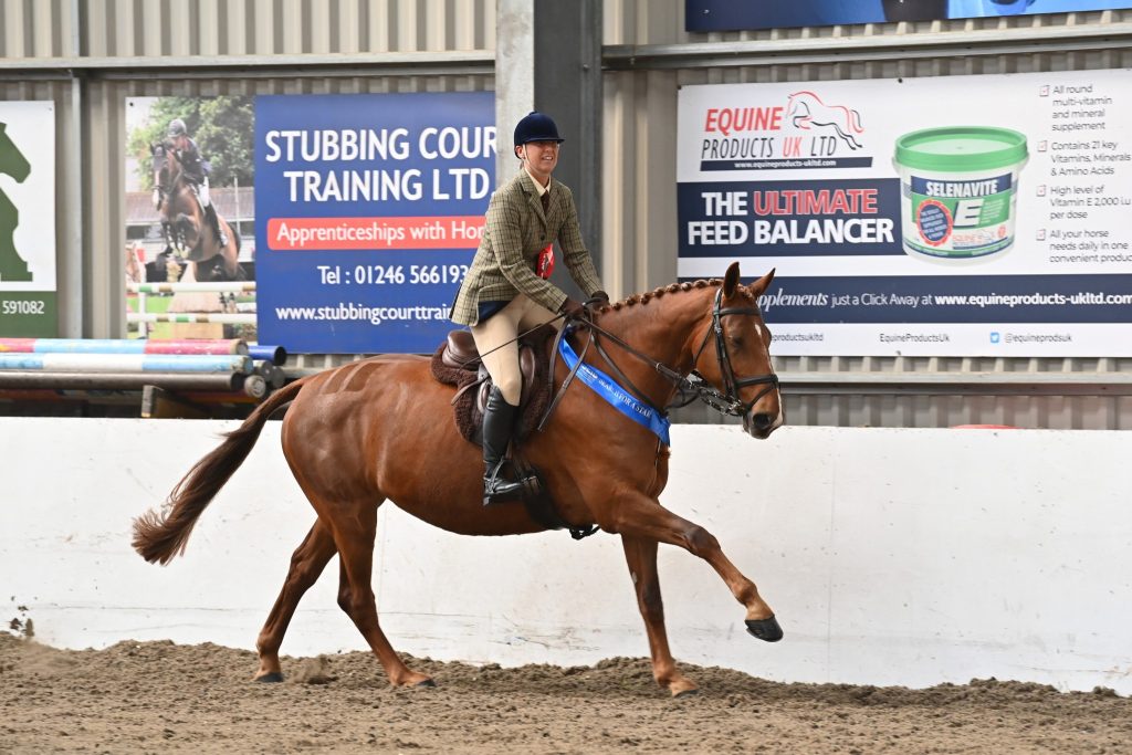 VV WH1 Sarah Mather Candle Line 1024x683 - SEIB Search for a Star & Racehorse to Riding Horse 2022 kicks off at Vale View Equestrian        