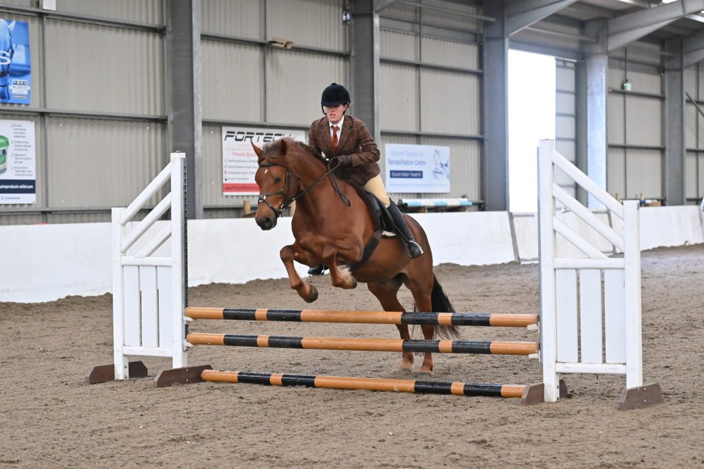 VV WP1 and MnM 2 Natalie Pastor Langorra Ginger Port 1024x683 - SEIB Search for a Star & Racehorse to Riding Horse 2022 kicks off at Vale View Equestrian        