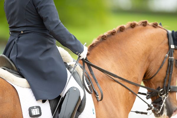 Olympic medallists make Hickstead return image 2 - Olympic medallists make Hickstead return