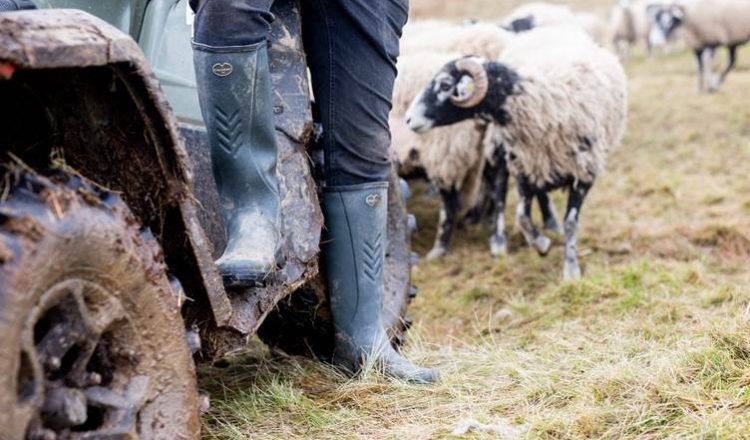image 3 750x440 - HERITAGE BOOTMAKER LE CHAMEAU HAVE LAUNCHED ‘IMPERFECTS’ CAMPAIGN TO RAISE MONEY FOR THE PRINCE’S COUNTRYSIDE FUND