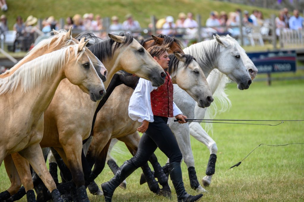 Atkinson Action Horses Credit E J Lazenby 1024x683 - <strong>Win Tickets to Festival of the Horse at Belvoir Castle</strong>