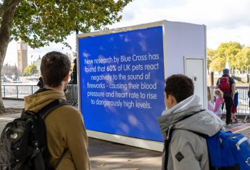 Blue X Firework campaign 2937 360x245 - <strong>COUNCILS AXE FIREWORK DISPLAYS SPARKING CHARITY FEAR FOR PETS</strong>